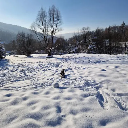 Apartman Garden Kurnik