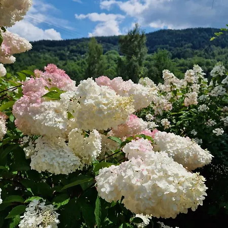Apartman Garden Kurnik Stróża