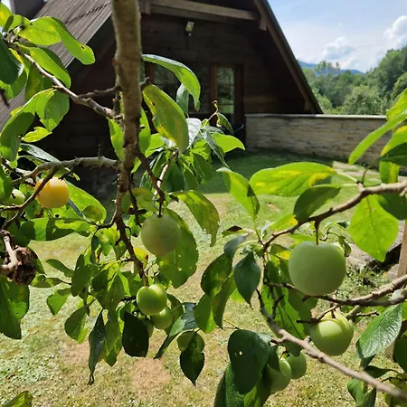 Garden Kurnik * Stroza (Myslenice)